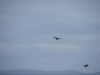 DSC00532.JPG