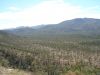 DSC00546.JPG