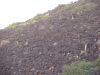 DSC00572.JPG