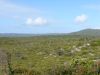 DSC00581.JPG