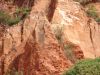 DSC00595.JPG