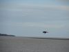 DSC00638.JPG