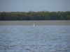 DSC00643.JPG