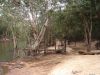 DSC00646.JPG