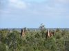 DSC00650.JPG