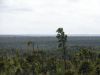 DSC00653.JPG
