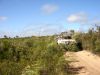 DSC00655.JPG