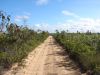 DSC00658.JPG