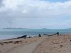 DSC00681.JPG