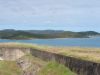 DSC00710.JPG