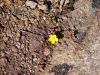 DSC00757.JPG