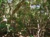 DSC00761.JPG
