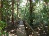 DSC00762.JPG