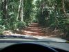 DSC00766.JPG