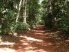 DSC00768.JPG