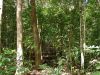 DSC00769.JPG