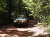 DSC00770.JPG