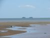 DSC00771.JPG