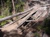 DSC00786.JPG