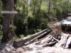 DSC00788.JPG