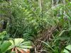 DSC00789.JPG
