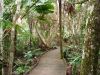 DSC00791.JPG