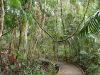 DSC00793.JPG