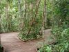 DSC00794.JPG