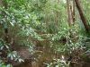 DSC00796.JPG