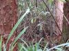 DSC00799.JPG