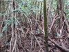 DSC00800.JPG
