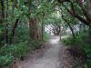 DSC00801.JPG