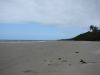 DSC00802.JPG