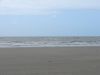 DSC00806.JPG