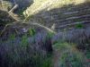 dsc00221.jpg