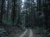 DSC00458.JPG