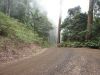 DSC00466.JPG
