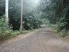 DSC00467.JPG