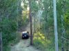 dsc00194.jpg