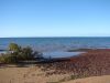 DSC00509.JPG