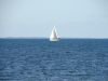 DSC00510.JPG