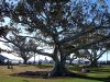 DSC00512.JPG