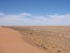 DSC01031.JPG