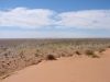 DSC01035.JPG