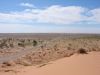DSC01036.JPG