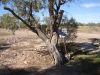 DSC01044.JPG