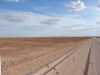DSC01066.JPG