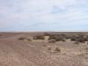 DSC01071.JPG
