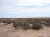 DSC01072.JPG