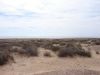 DSC01073.JPG